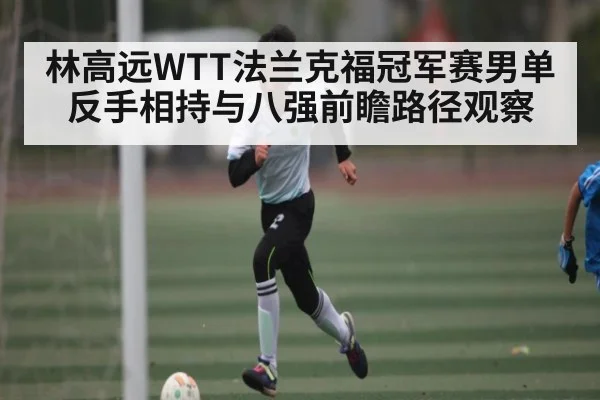林高远WTT法兰克福冠军赛男单反手相持与八强前瞻路径观察